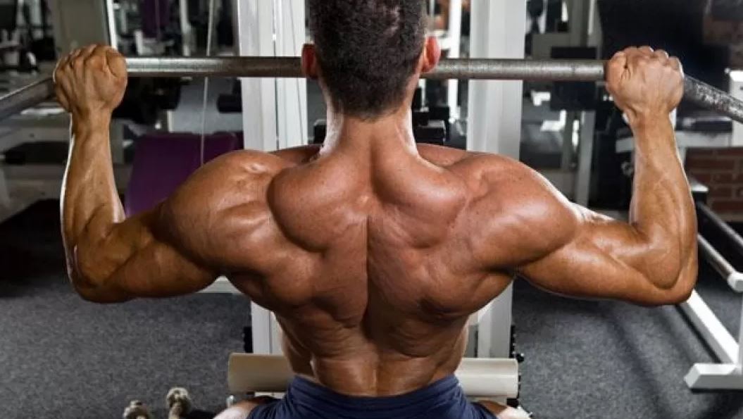 What Muscles do the Lat Pulldown Work On