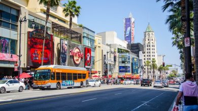 Moving To Los Angeles Guide