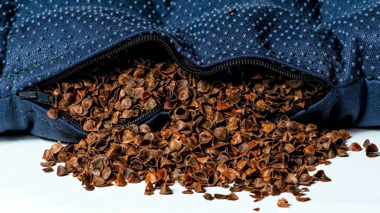Buckwheat Pillow
