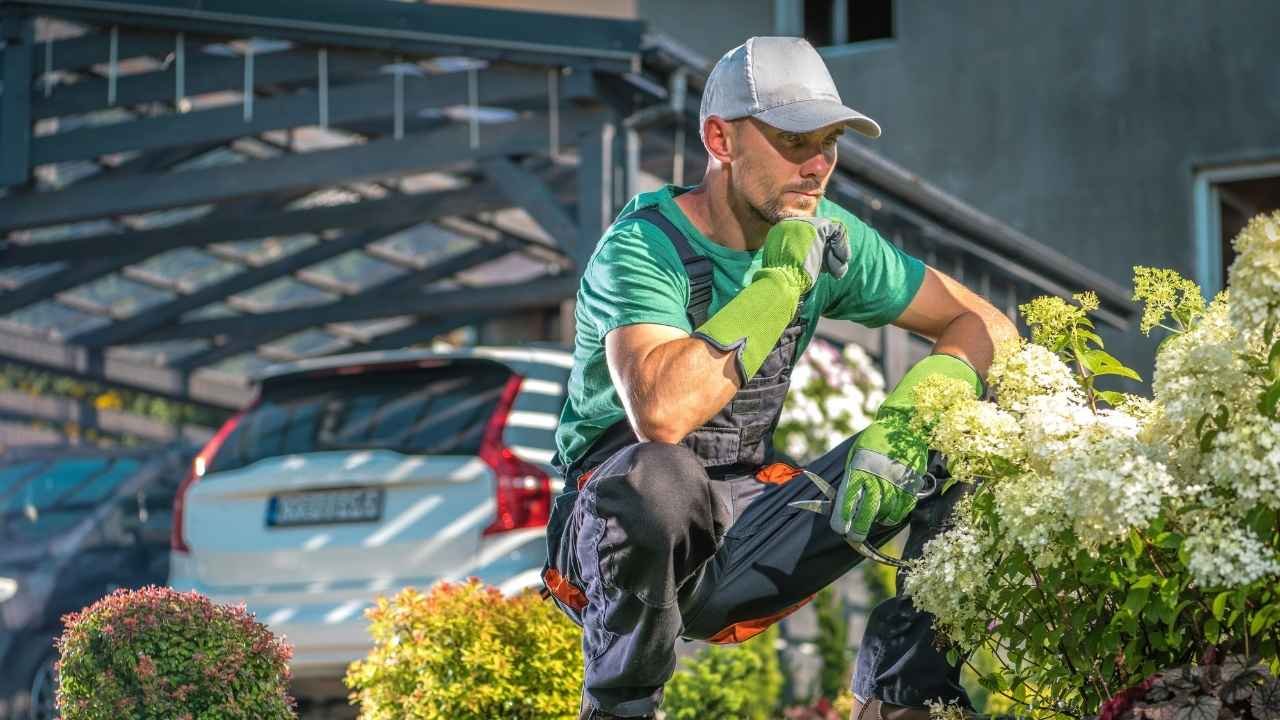 Garden-Maintenance-1.jpg
