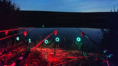 Night Fishing