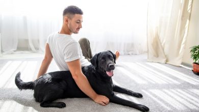 guy with dog