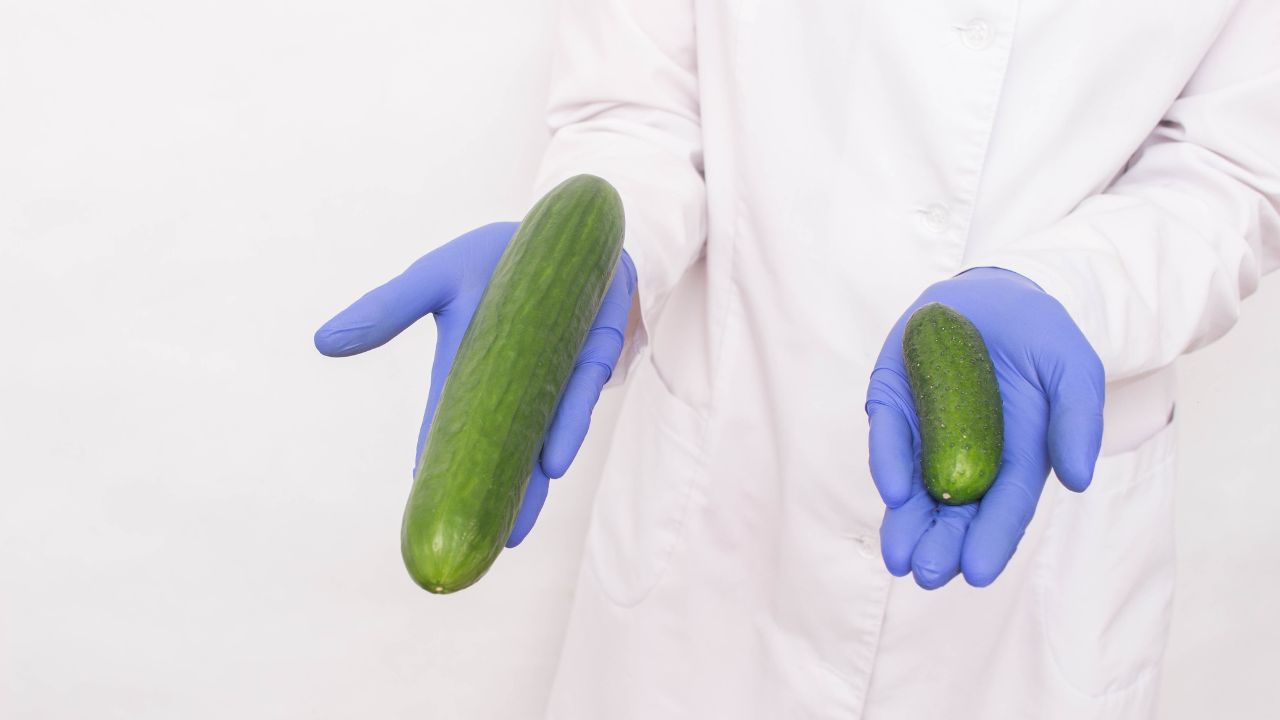 Erections shown using cucumbers