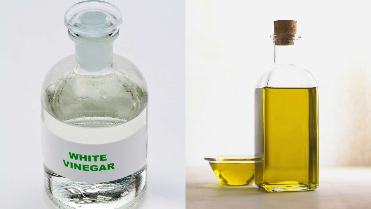 Olive oil and white vinegar