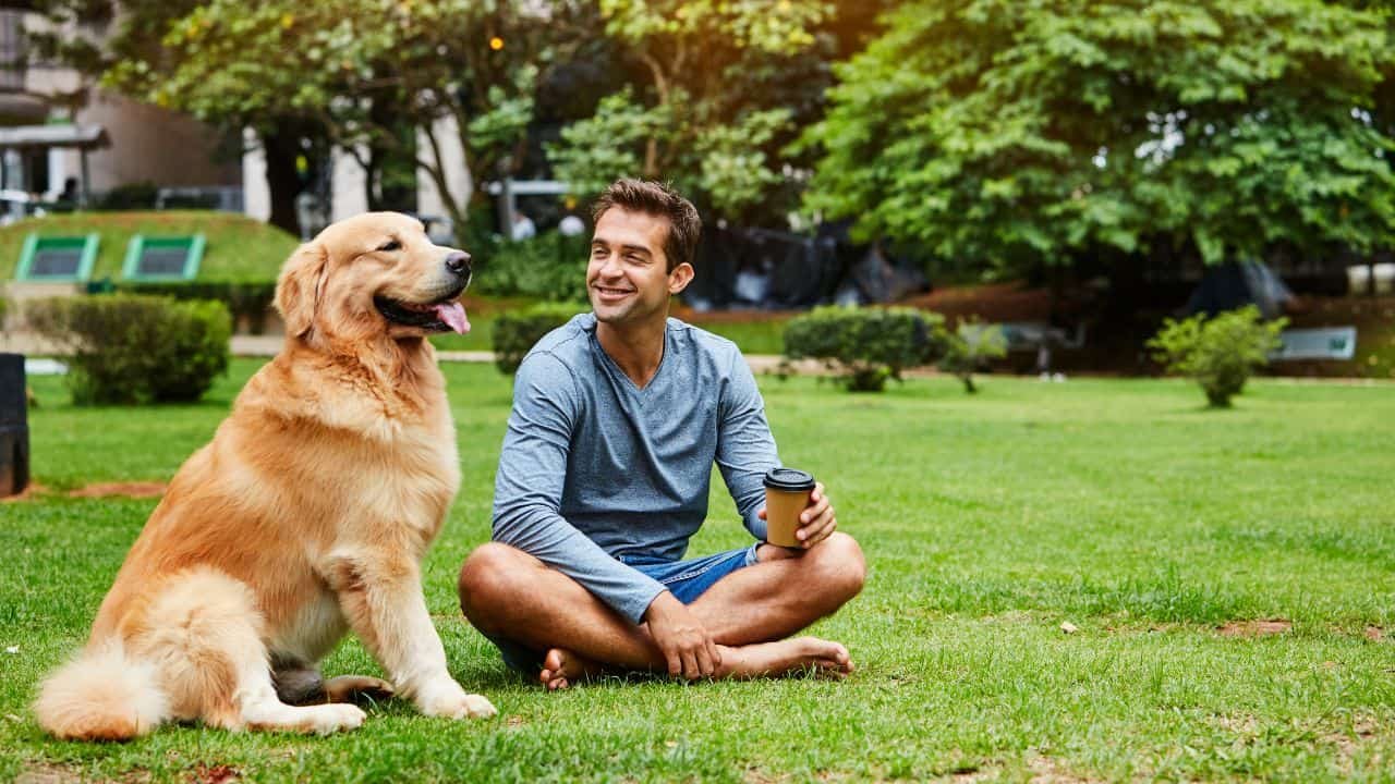 The Ultimate Guide To Creating A Healthy Habits For Your Pet