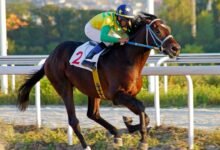 Horse Racing